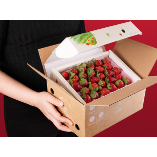 生鮮電商無毒農推動減法包裝設計！買草莓的同時一起加入減塑行列